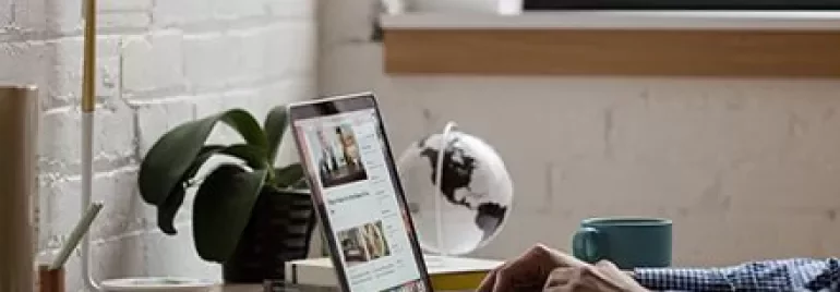 Person arbeitet an einem Laptop auf einem Schreibtisch neben einer Pflanze und einem Globus.